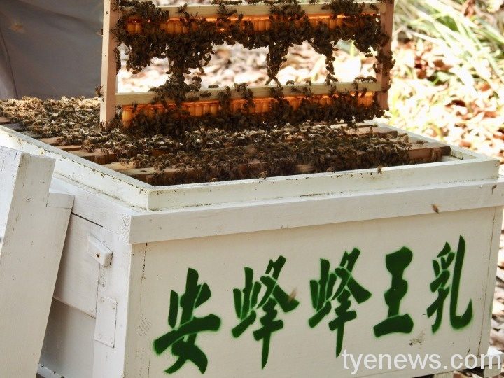 疫情拉警報 增強身體機能是關鍵 05 1 2