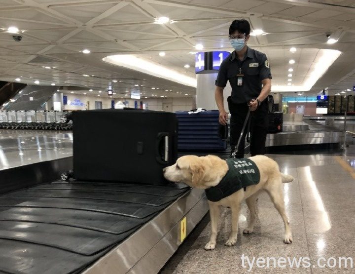 桃園機場防疫再提升 全面使用第四代消毒劑確保安全 052901