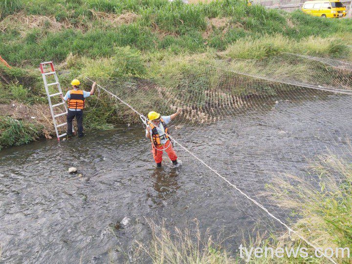 桃機大數據分析精進飛安 標本兼治降低鳥擊率 1 1 1 6