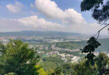 【桃園文選】赴約