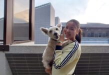 【桃園文選 】在歷史藝術中,我的體會