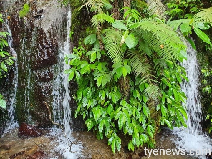 【桃園文選】剪一枚感動回家