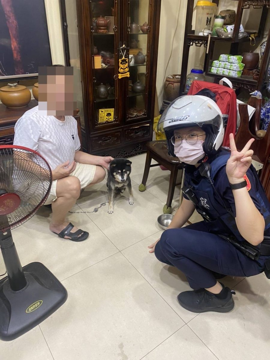 【有片】迷途柴犬馬路逛大街 巧遇下班女警陪走返家 1022529 scaled 1