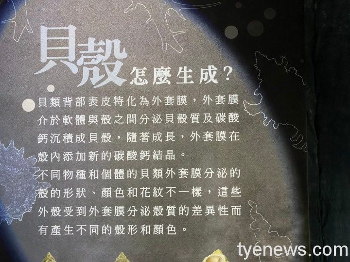 1100319貝感心奇 210319 111