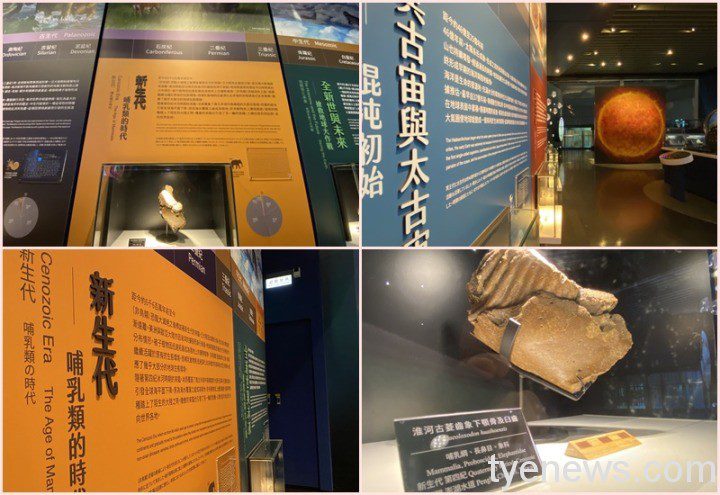 海科館知海系列講座 10/30帶您認識冰河時期在臺生物 1101027甯拍 11