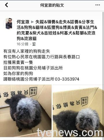 黑貴賓迷途路邊發呆 埔子派出所暖警PO網協尋飼主 1611287919811