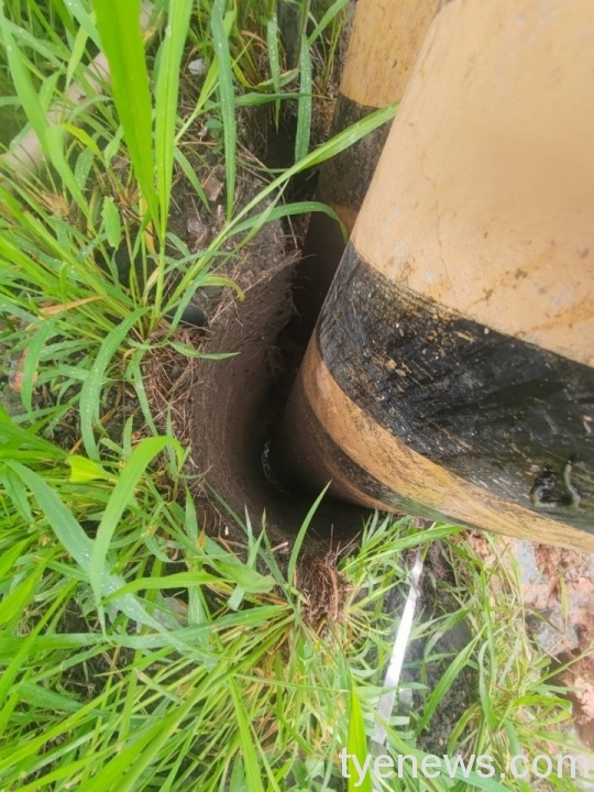 桃園市政府施作水溝導致電桿傾斜樹木碰觸引起桃園、龜山大停電。圖:台電桃園區營業處提供 桃園市政府施作水溝導致電桿傾斜樹木碰觸引起桃園、龜山大停電。圖:台電桃園區營業處提供