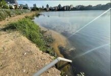 噁!糞水非法排入公有埤塘 環檢警聯手查獲重罰30萬