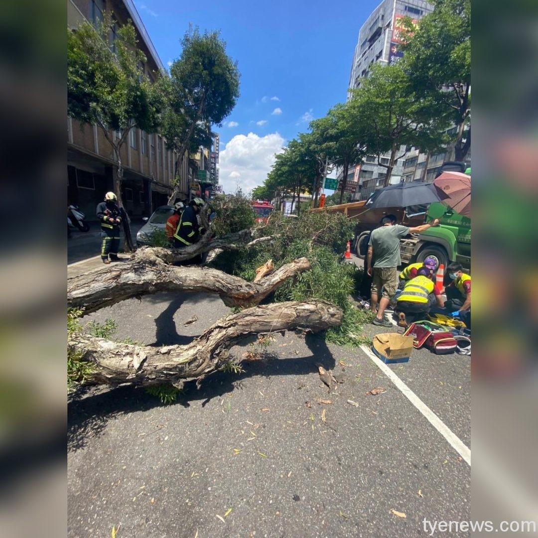 【有片】大貨車不慎撞倒路樹 2名女騎士閃避不及遭擊中