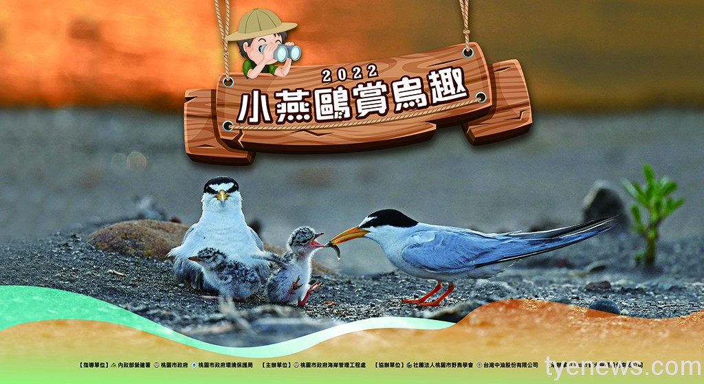 竹圍漁港賞鳥趣 現場抽Q版小燕鷗娃娃