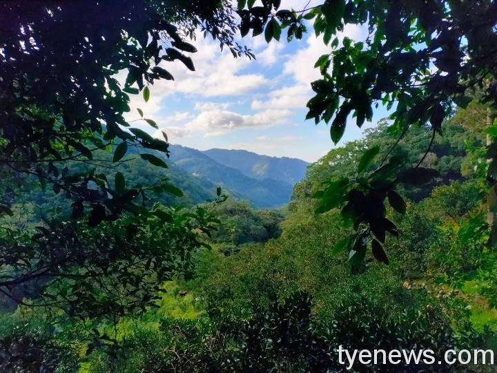 【桃園文選】雲森瀑布