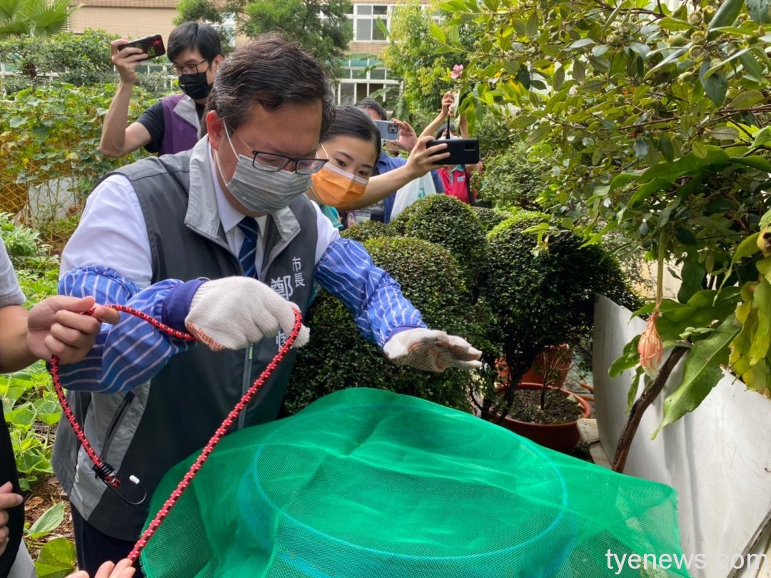 全民滅孓 落實「巡、倒、清、刷」預防登革熱