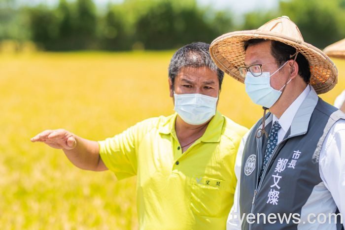 桃市與農水署合作 克服缺水危機可望收成 2 81