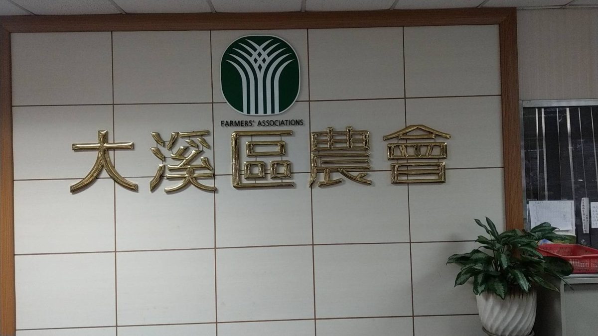 大溪區農會代表選舉2/21順利產生 理事長將在3/2進行投票