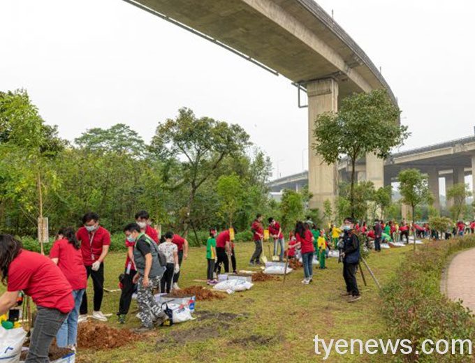 台積電植樹薪傳計畫 提升桃園綠覆率 20210312134625662