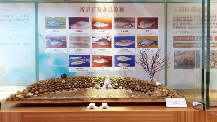 新屋石滬故事館開幕 帶動沿海觀光發展 20210322141551429