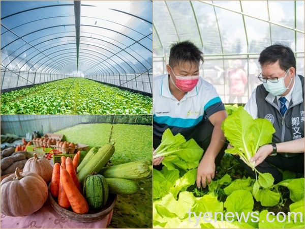 桃市府助農紓困、推振興 邀懷農業夢民眾加入耕耘 20210907141119102