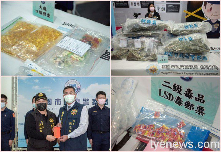 楊梅警溯源5層藥頭破獲大麻案 10萬顆種子、植株險流入市面 20211025174834330