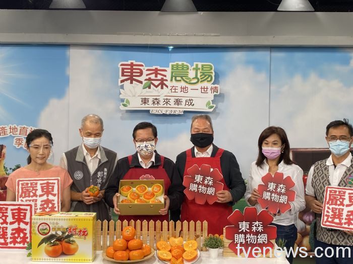 鄭文燦行銷當季「復興甜柿」農民細心照料品質極佳 20211027173957131