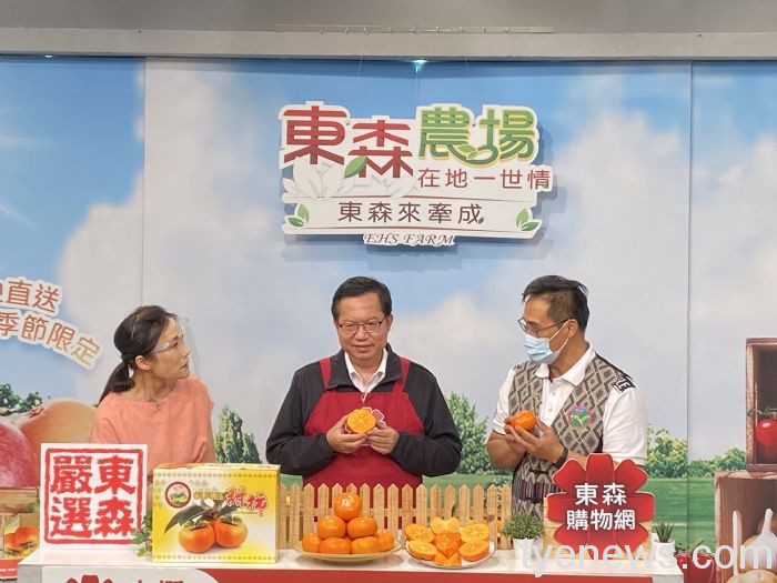 鄭文燦行銷當季「復興甜柿」農民細心照料品質極佳 20211027174009038