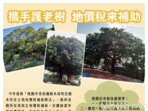 保護桃園老樹生長 地主繳地價稅可申請補助