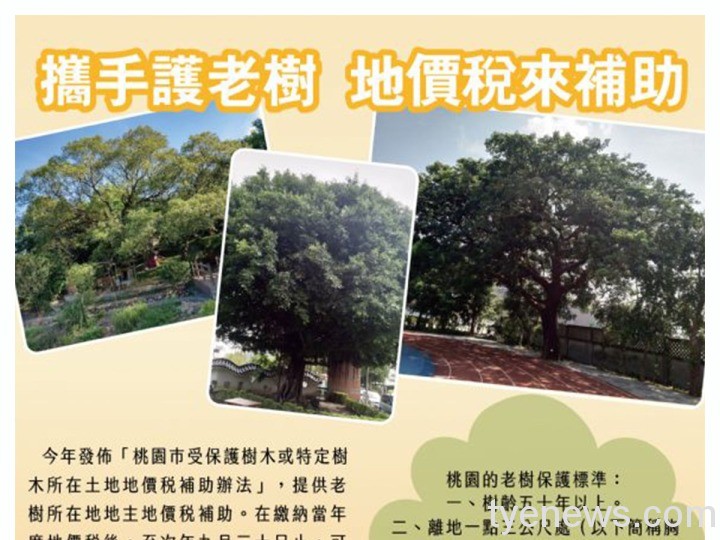 保護桃園老樹生長 地主繳地價稅可申請補助 20211215094137828