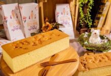 桃捷與金格聯名合作 推母親節公益蛋糕