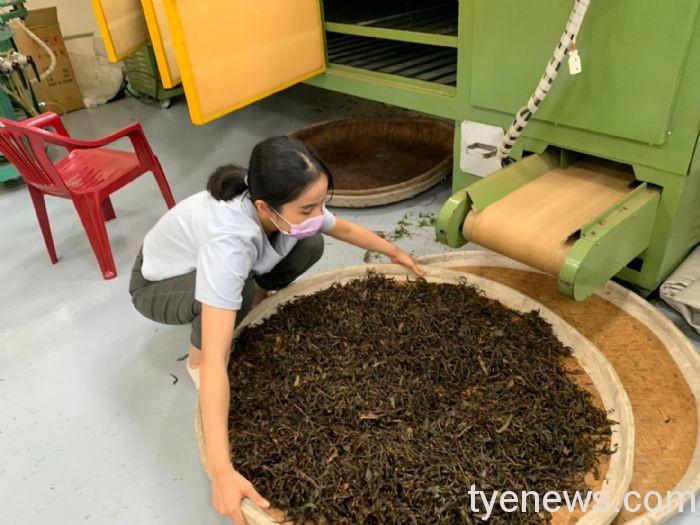 桃園繡球花季近尾聲 「葉家千金」品茗體驗本周壓軸登場 20220602075326578
