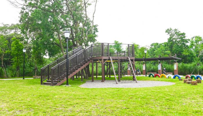 大溪落羽松公園啟用 斥資千萬串聯浪漫景觀 20220606142947225