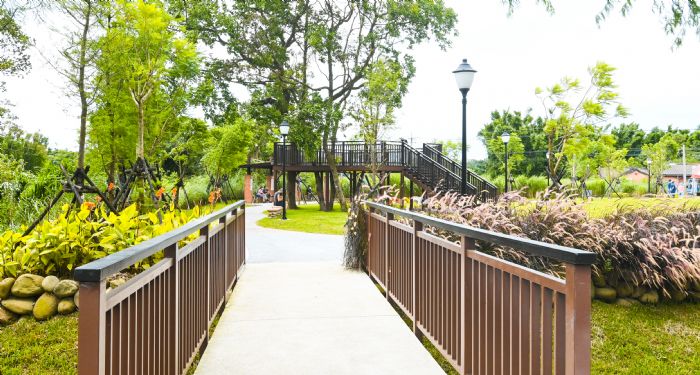 大溪落羽松公園啟用 斥資千萬串聯浪漫景觀 20220606143005406
