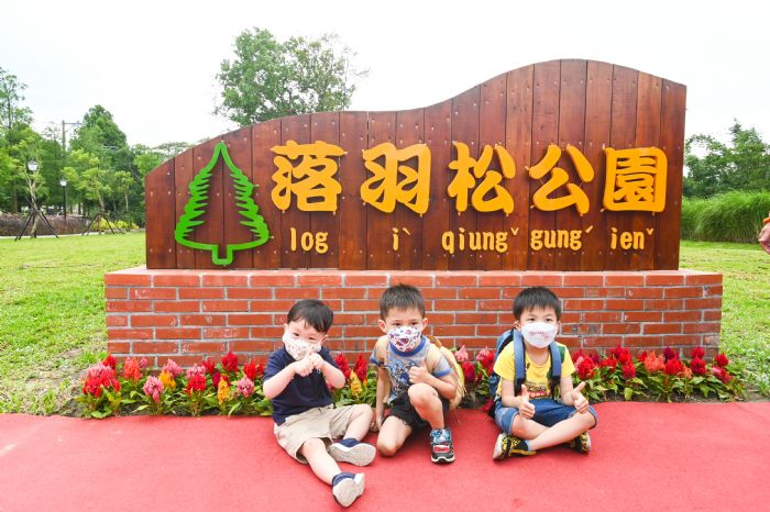 大溪落羽松公園啟用 斥資千萬串聯浪漫景觀