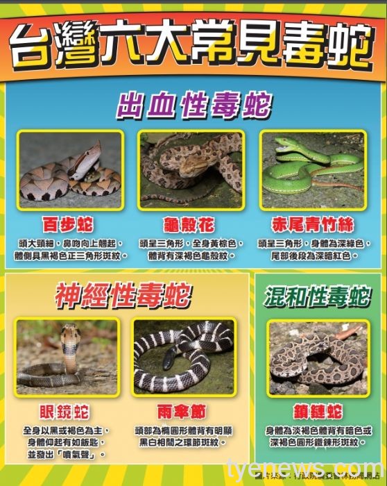 夏天小心蛇出沒 桃園農業局傳授「五不五要」技巧 20220708093917238