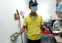 夏天小心蛇出沒 桃園農業局傳授「五不五要」技巧