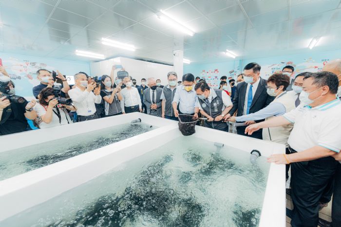 挺國產石斑魚!桃園與南台3縣市合作 海外訂單排到明年中 20220713111702231