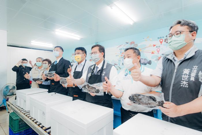 挺國產石斑魚!桃園與南台3縣市合作 海外訂單排到明年中 20220713111711651