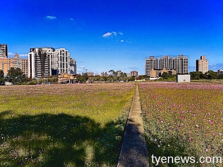 青埔空地綠化迎世客博 不動產業界熱烈響應 20224181745 16 1