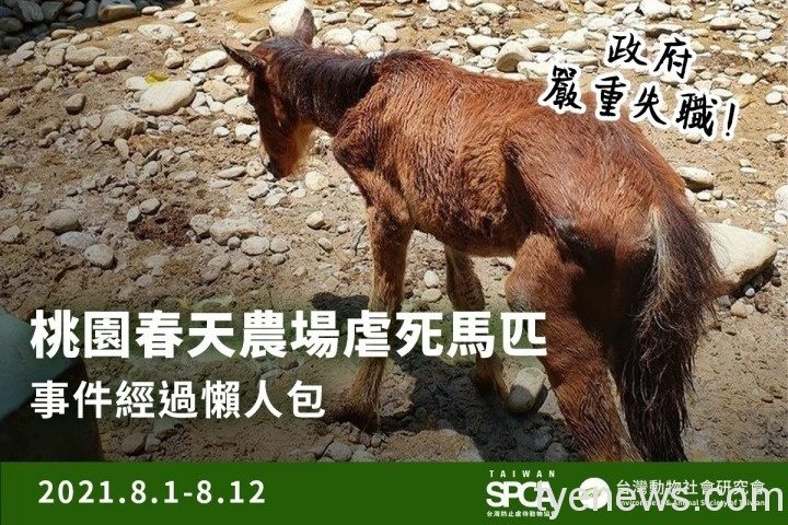 好心疼!龜山「春天農場」驚傳虐待馬匹致死 229820014 10159472438119313 3801758269976733748 n