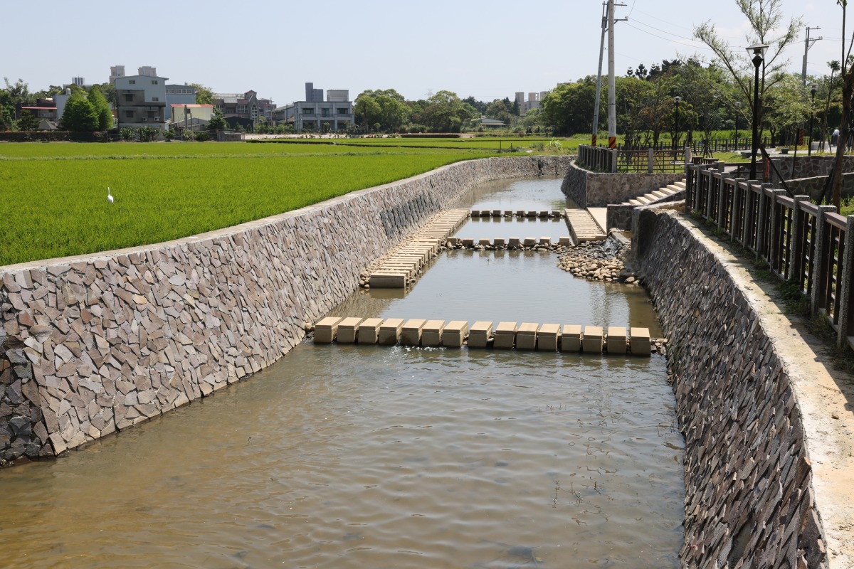 桃園環保局改善龍潭大池水質 獲水環境大賞全國首獎肯定 3 1 1 3
