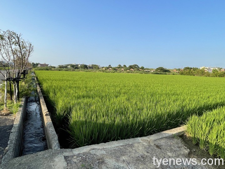 桃環局整治土壤、地下水污染表現優異 全國考核榮獲特優 3 21
