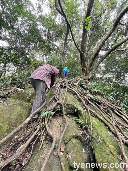 【桃園文選】白石山 3 9 scaled 4
