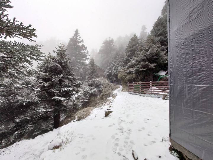 【有片】玉山置身銀白色世界 排雲山莊積雪0.7公分 30581