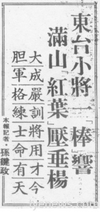 【 桃園文選 】 肥了櫻桃,瘦了芭蕉 4 15