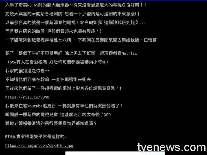 毛孩看電視秒安靜!神原因竟與蕭敬騰有關 4 6 3