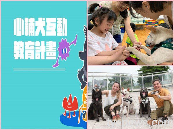 「台灣心輔犬」培育狗老師 心靈療癒特殊兒 44 1 2