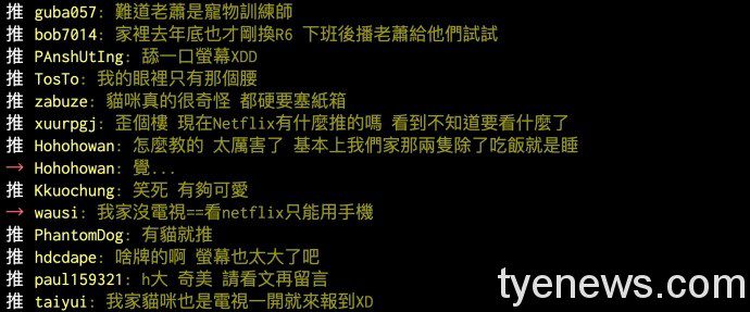 毛孩看電視秒安靜!神原因竟與蕭敬騰有關 44 2