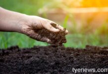 立委陳椒華指控桃市府不當核發許可證 造成中南地區汙染