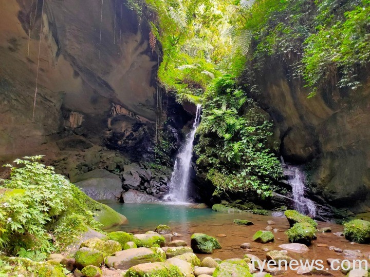 【桃園文選】金牌縱走