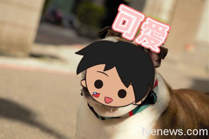 寵物狗被路人嘲笑醜又胖 俠義女友戰鬥力超高反擊 5 3 1