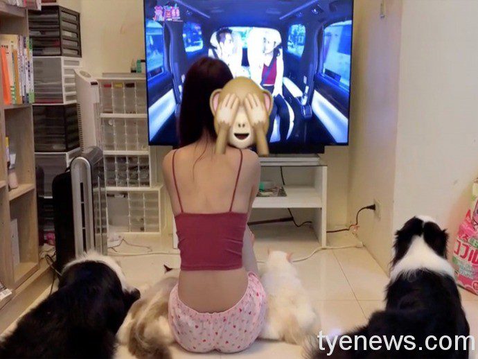 毛孩看電視秒安靜!神原因竟與蕭敬騰有關