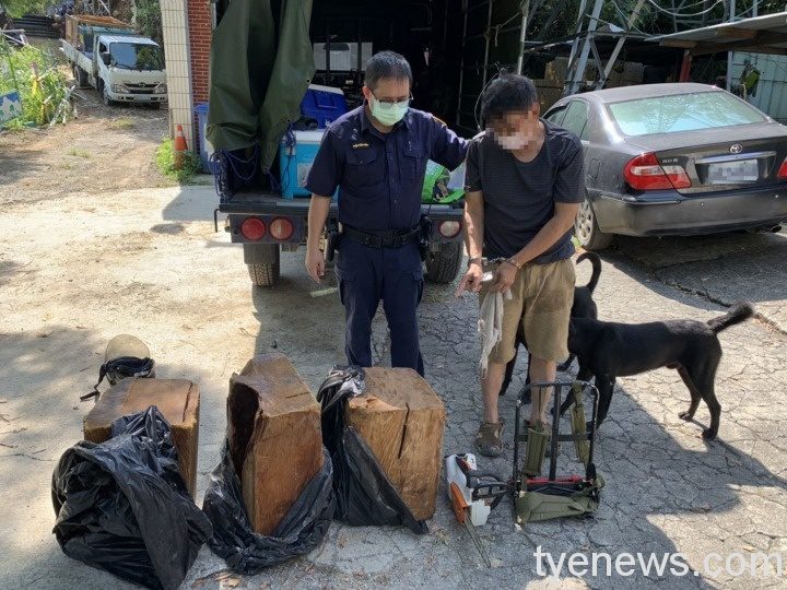 山老鼠出沒國有林地 偷盜價值10萬珍貴肖楠木。圖：警方提供